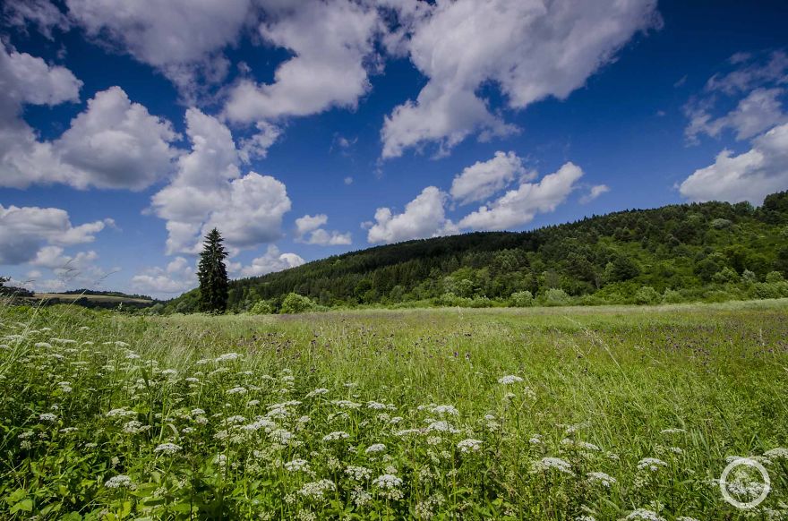 I Cycled 3551km Around Poland To Show You Don’t Need To Travel Abroad To Discover Beauty I Cycled 3551km Around Poland To Show You Don’t Need To Travel Abroad To Discover Beauty