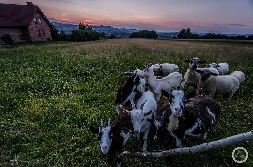 I Cycled 3551km Around Poland To Show You Don’t Need To Travel Abroad To Discover Beauty I Cycled 3551km Around Poland To Show You Don’t Need To Travel Abroad To Discover Beauty