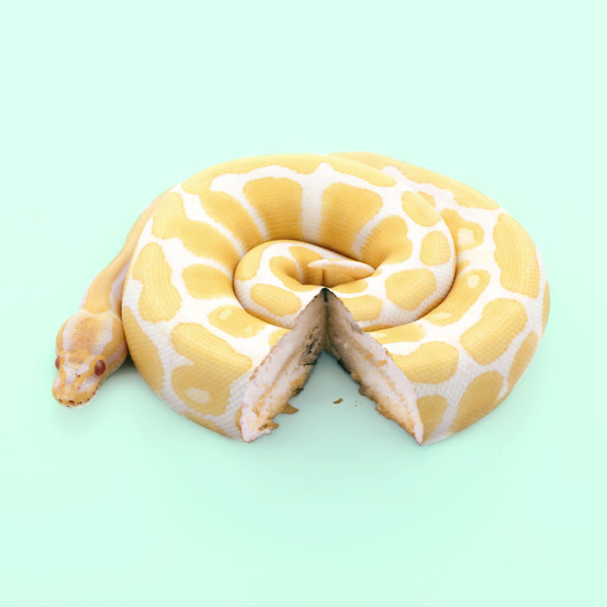 I Create Pop Mashups Of Everyday Objects Giving Them A Surreal Look I Create Pop Mashups Of Everyday Objects Giving Them A Surreal Look