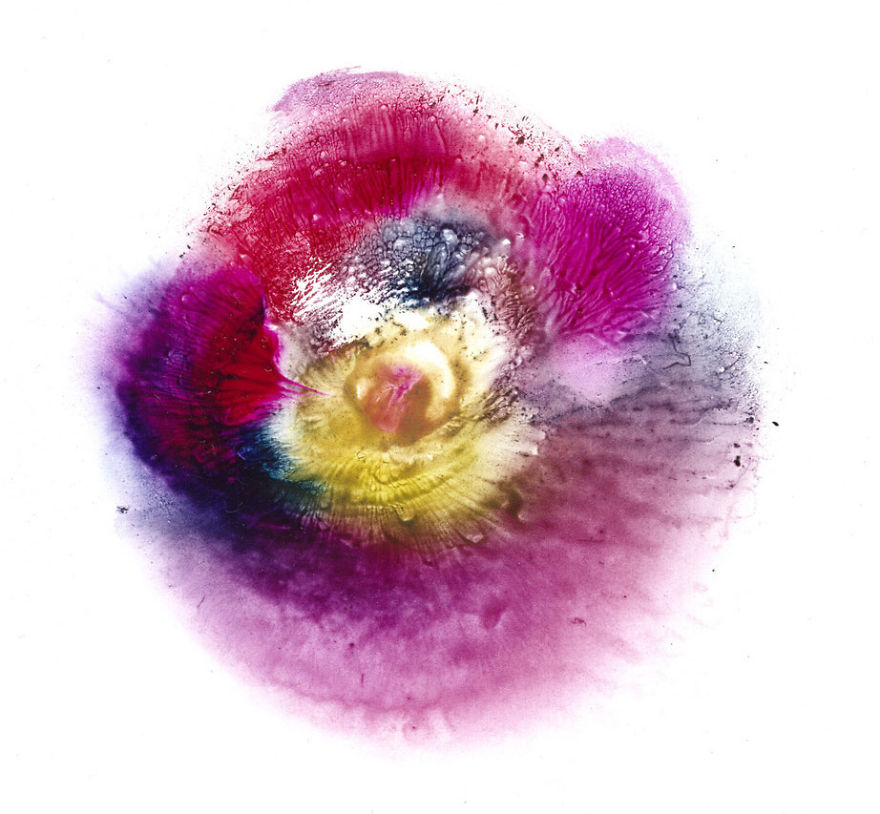 I Make Art From Model&#8217;s Breasts