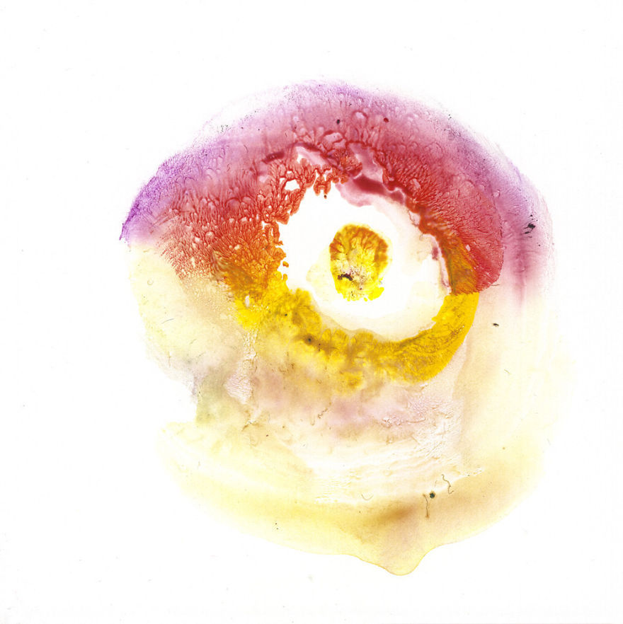 I Make Art From Model&#8217;s Breasts