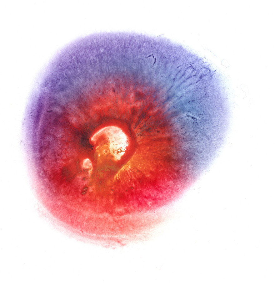 I Make Art From Model&#8217;s Breasts