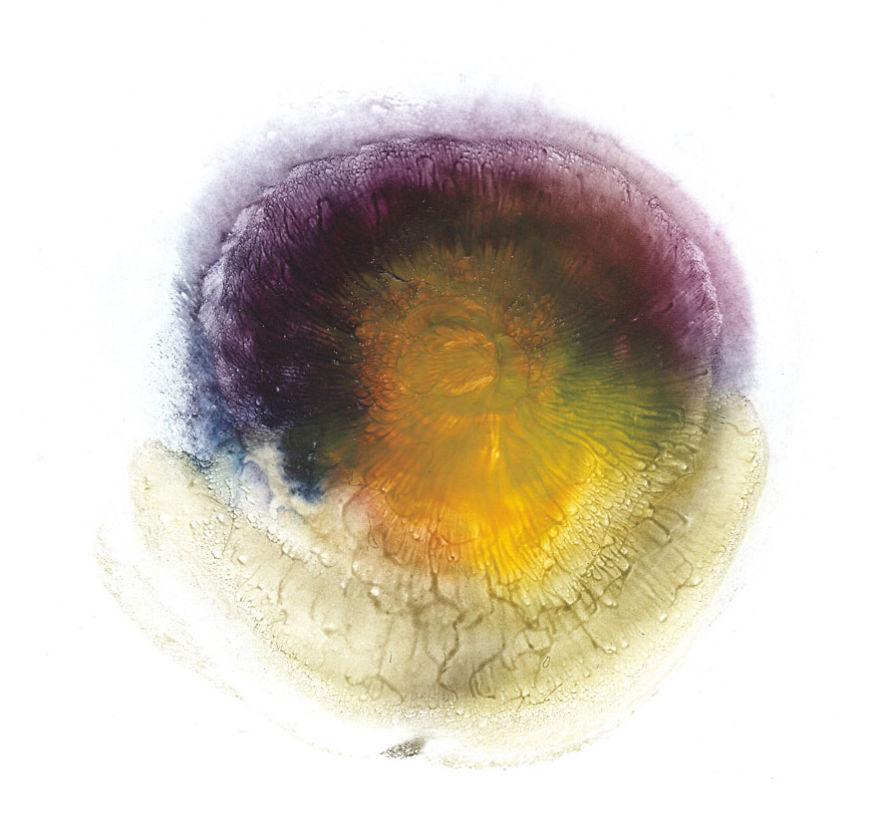 I Make Art From Model&#8217;s Breasts