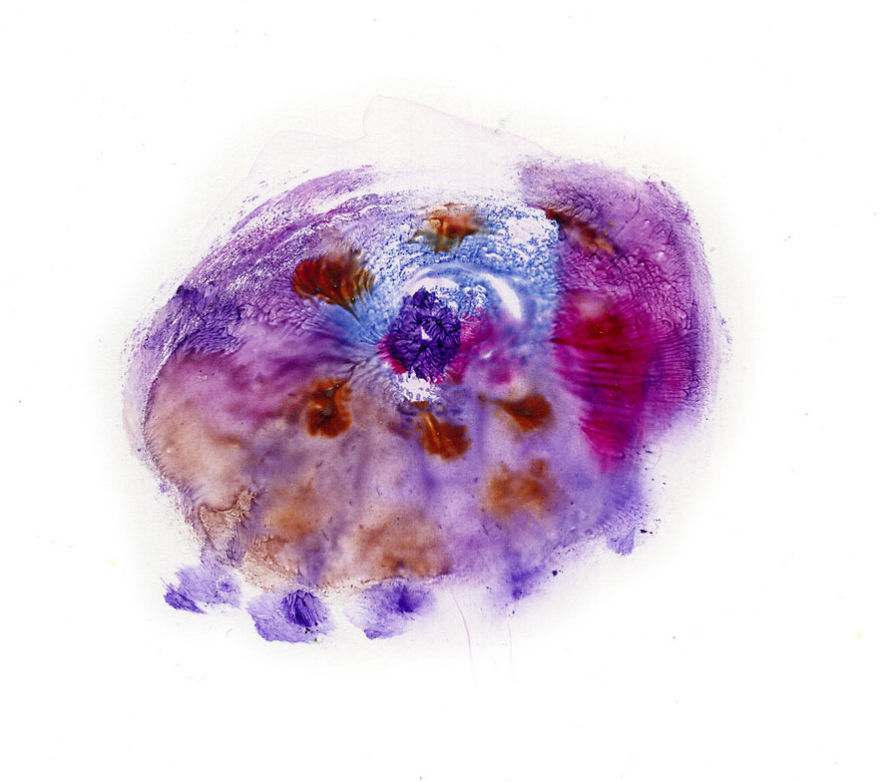 I Make Art From Model&#8217;s Breasts