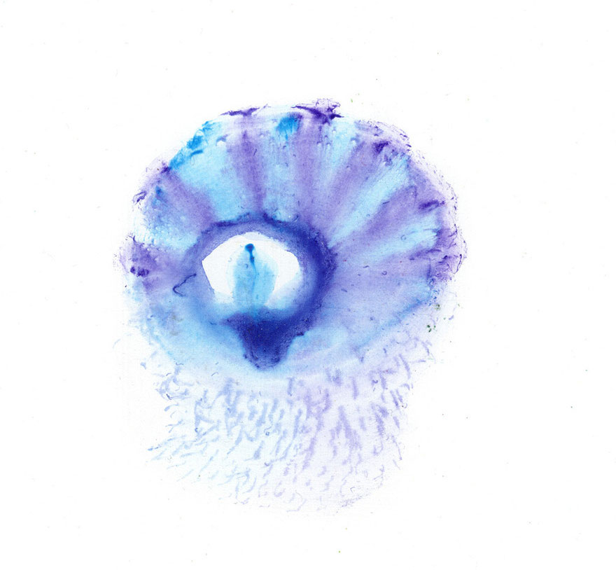 I Make Art From Model&#8217;s Breasts