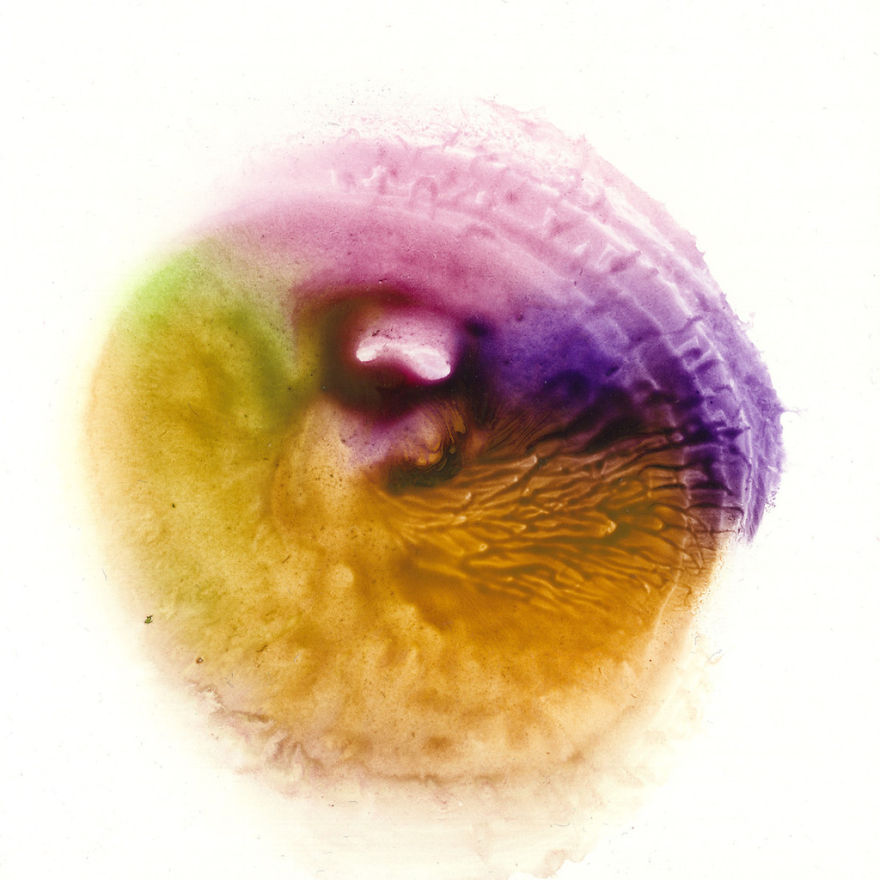 I Make Art From Model&#8217;s Breasts