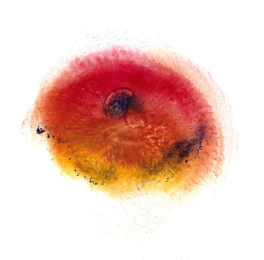 I Make Art From Model&#8217;s Breasts