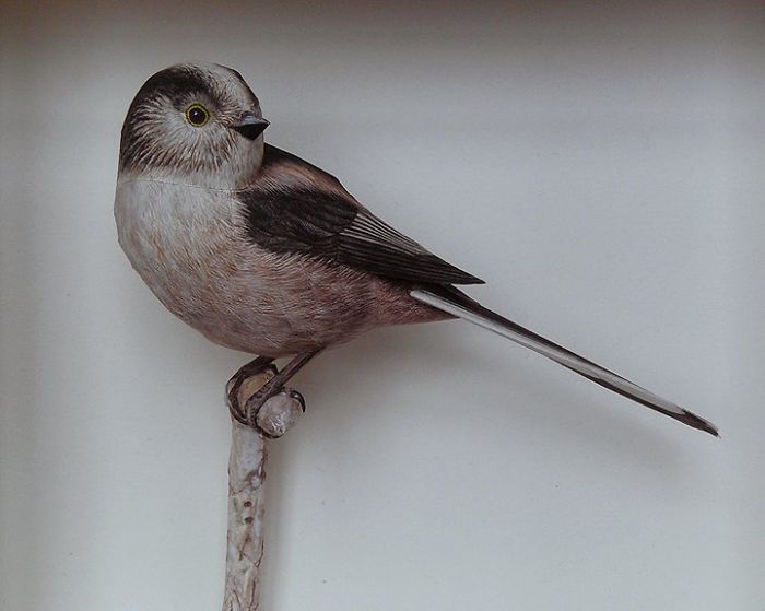 I Create Realistic Birds From Paper