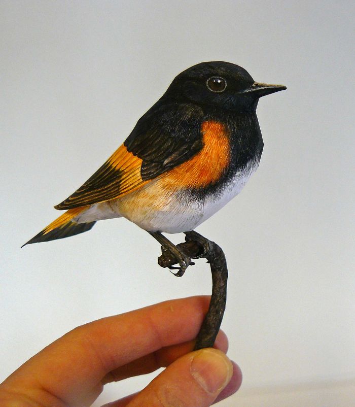 I Create Realistic Birds From Paper