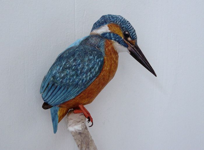 I Create Realistic Birds From Paper