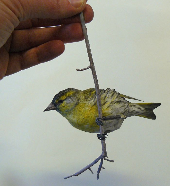 I Create Realistic Birds From Paper