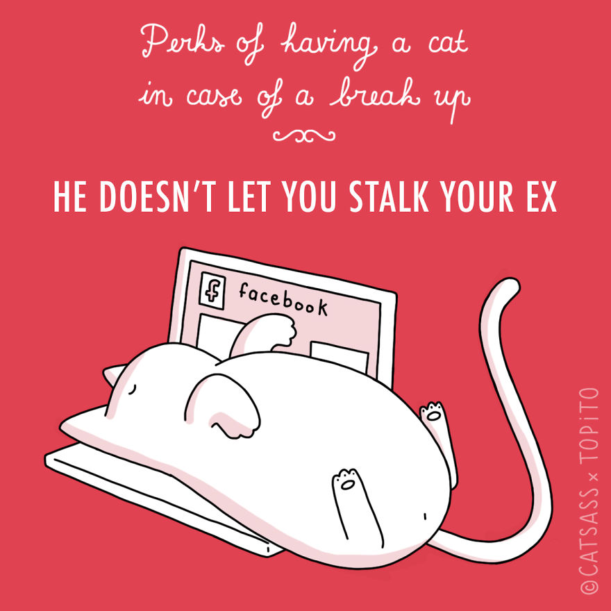 10 Benefits Of Having A Cat In Case Of A Break Up 10 Benefits Of Having A Cat In Case Of A Break Up