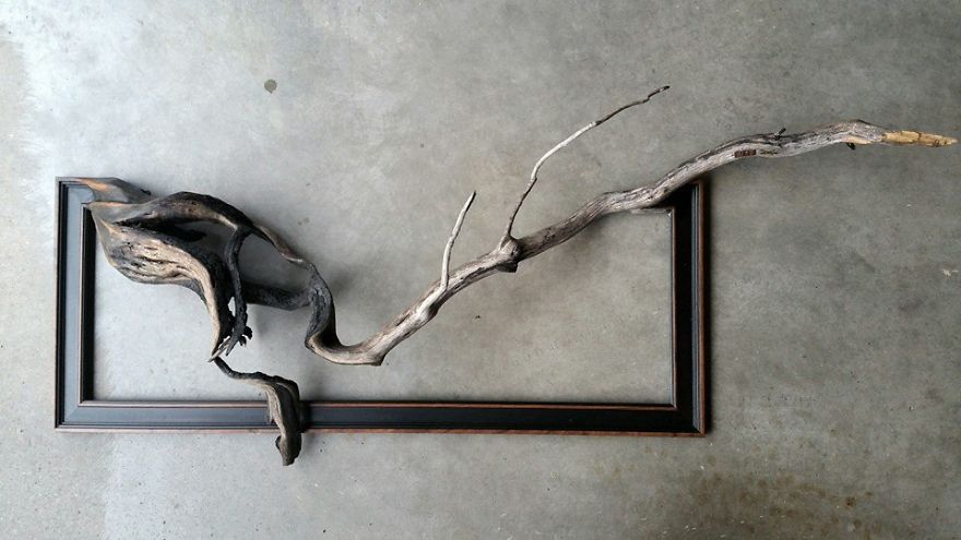 I Give A Second Life To Dead Trees By Fusing Them With Picture Frames I Give A Second Life To Dead Trees By Fusing Them With Picture Frames