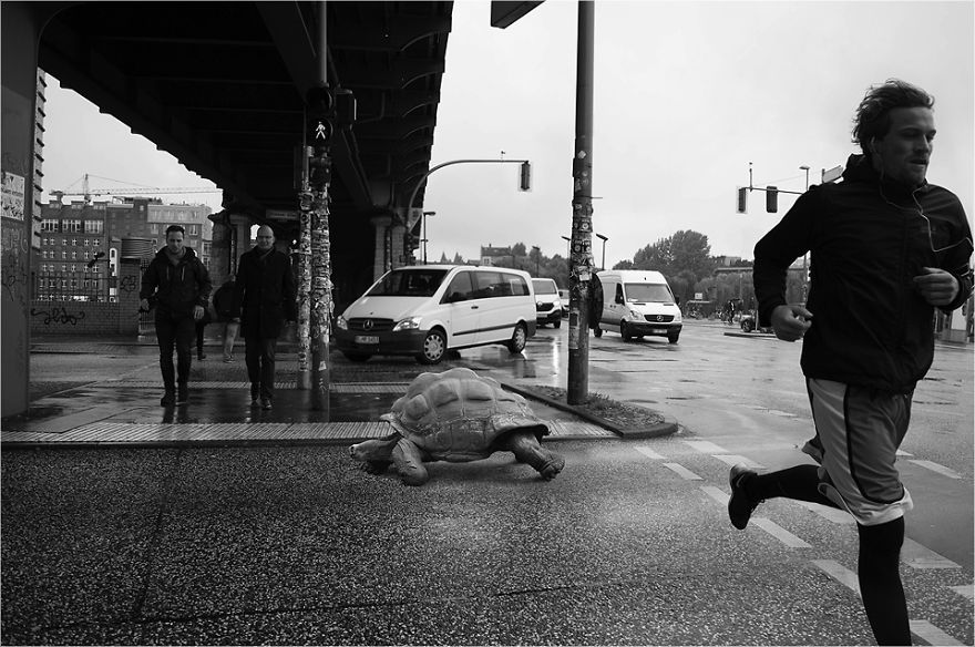 Zoo Animals Invade The Streets To Show What Tolerant Society Would Look Like Zoo Animals Invade The Streets To Show What Tolerant Society Would Look Like