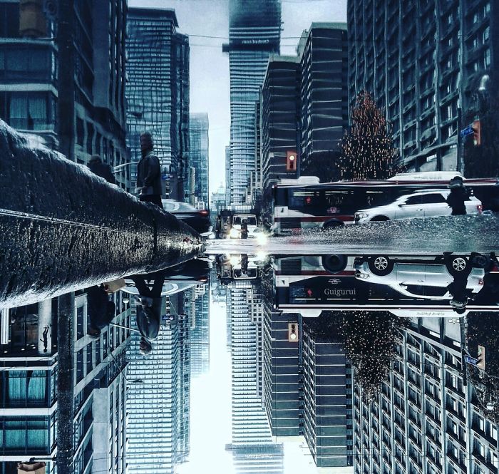 The Parallel Worlds Of Puddles In Toronto