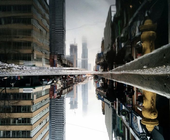 The Parallel Worlds Of Puddles In Toronto