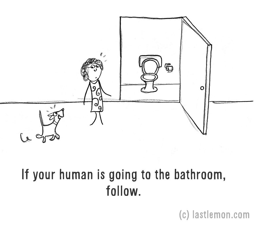 How To Be A Dog (21 Pics)