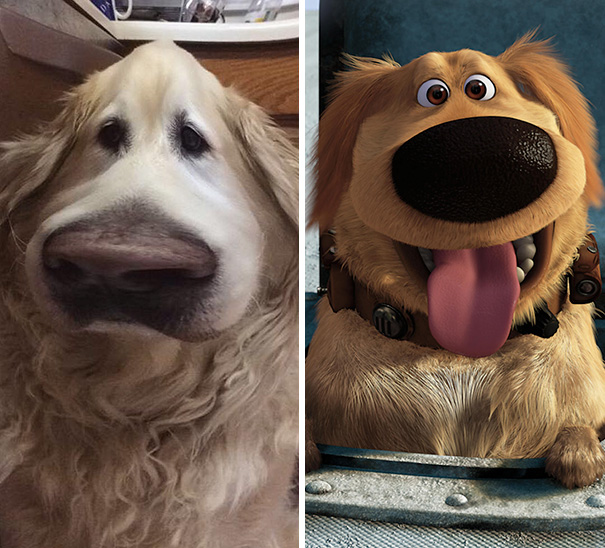 This Snapchat Filter Makes Your Dog Look Like Dug From “Up” This Snapchat Filter Makes Your Dog Look Like Dug From “Up”