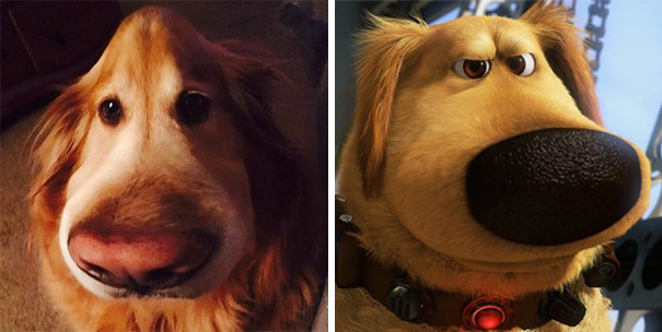 This Snapchat Filter Makes Your Dog Look Like Dug From “Up” This Snapchat Filter Makes Your Dog Look Like Dug From “Up”