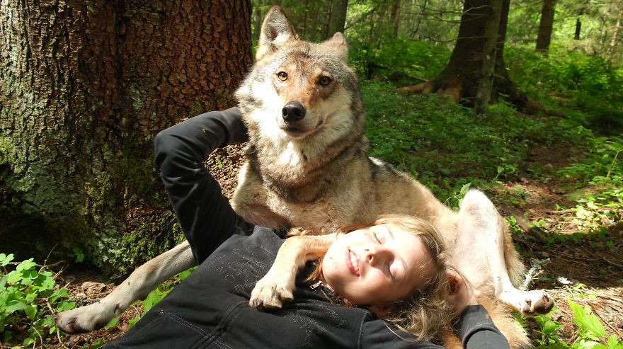 How I As French Man Ended Up Volunteering At A Wolf Sanctuary In Russia How I As French Man Ended Up Volunteering At A Wolf Sanctuary In Russia