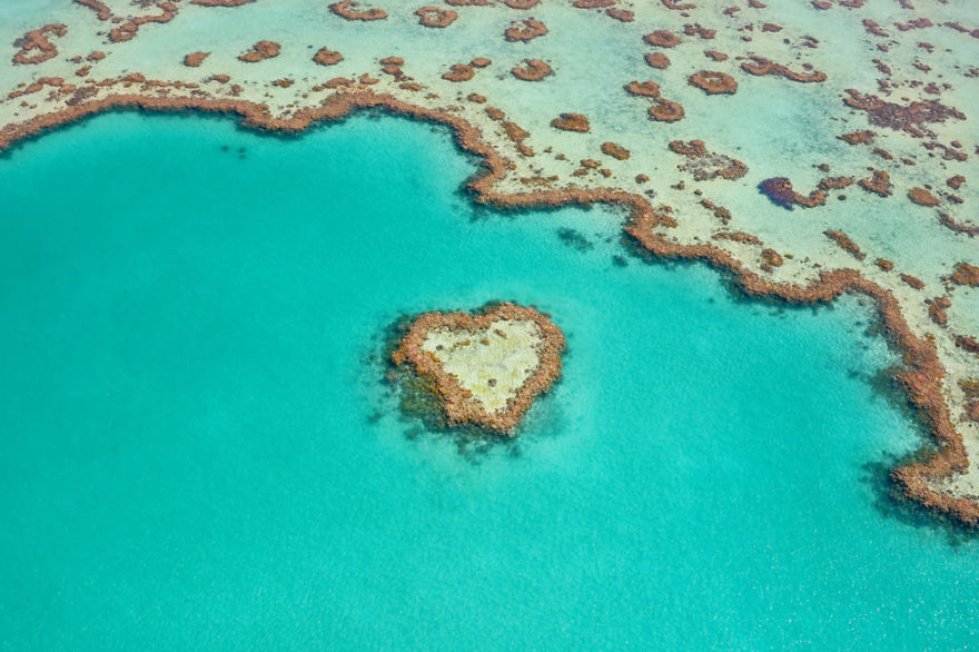 I Captured Breathtaking Sea And Sand Patterns From A Helicopter (Can You Find The Hidden Dolphin?)