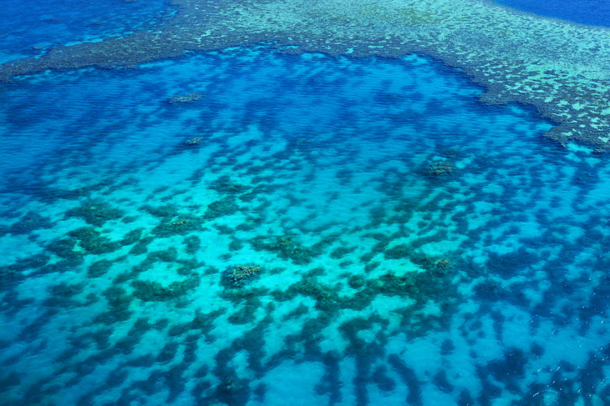 I Captured Breathtaking Sea And Sand Patterns From A Helicopter (Can You Find The Hidden Dolphin?)