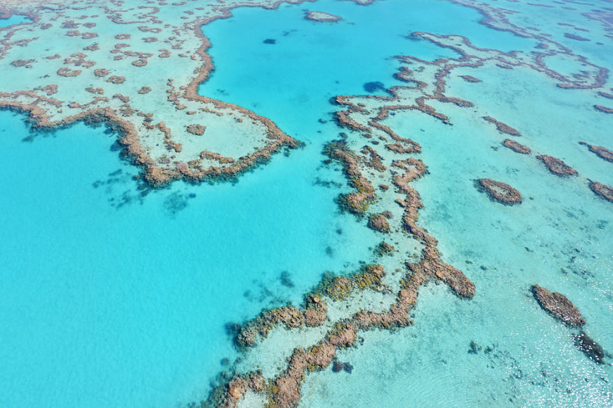 I Captured Breathtaking Sea And Sand Patterns From A Helicopter (Can You Find The Hidden Dolphin?)