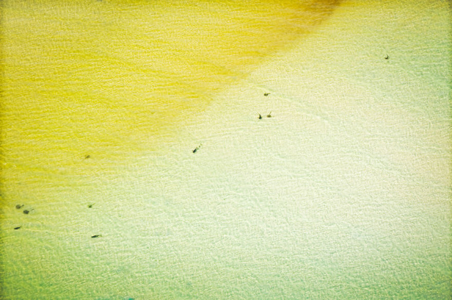 I Captured Breathtaking Sea And Sand Patterns From A Helicopter (Can You Find The Hidden Dolphin?)