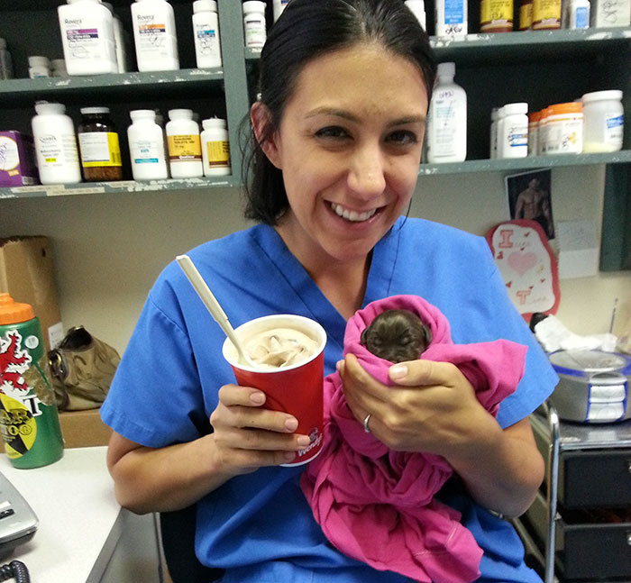 Vet Saves Chocolate Lab Puppy No Bigger Than Chocolate Milkshake From Euthanasia And Then Adopts It