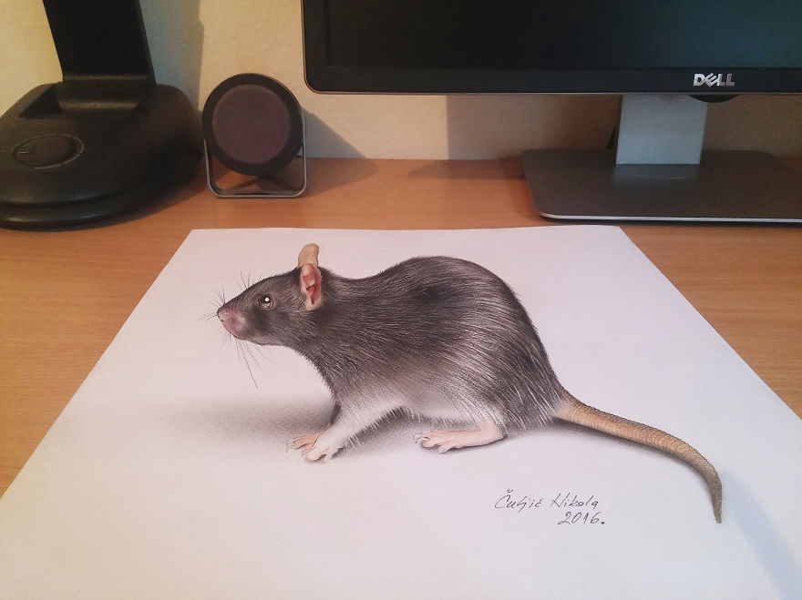 3D Drawings That I Create To Confuse People 3D Drawings That I Create To Confuse People