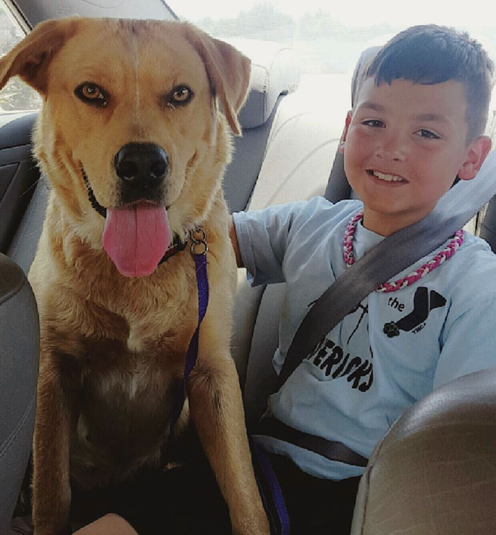 These 223 Dogs On Their First Day Of Adoption Will Make You Want To Adopt One Too