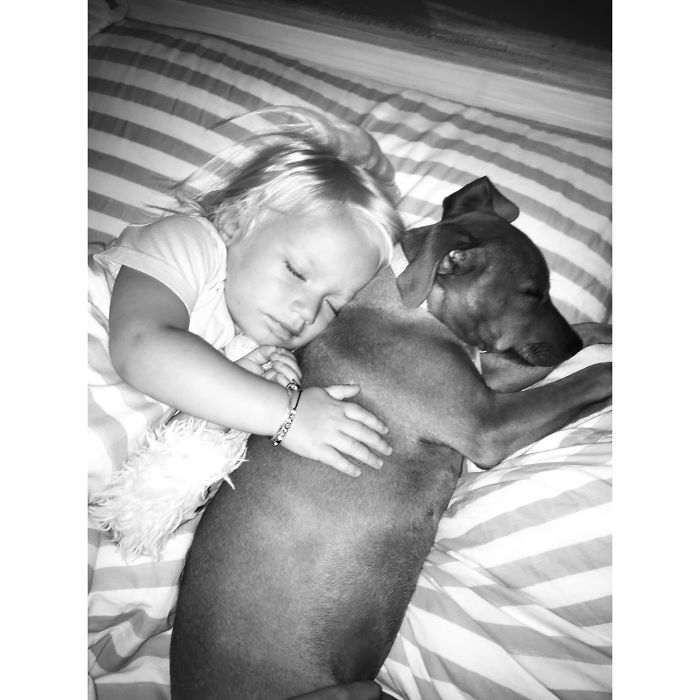 These 223 Dogs On Their First Day Of Adoption Will Make You Want To Adopt One Too