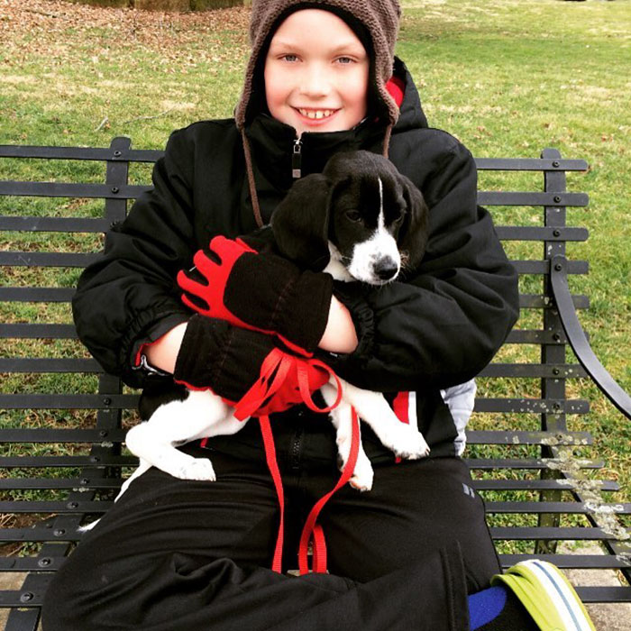 These 223 Dogs On Their First Day Of Adoption Will Make You Want To Adopt One Too