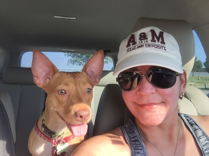 These 223 Dogs On Their First Day Of Adoption Will Make You Want To Adopt One Too