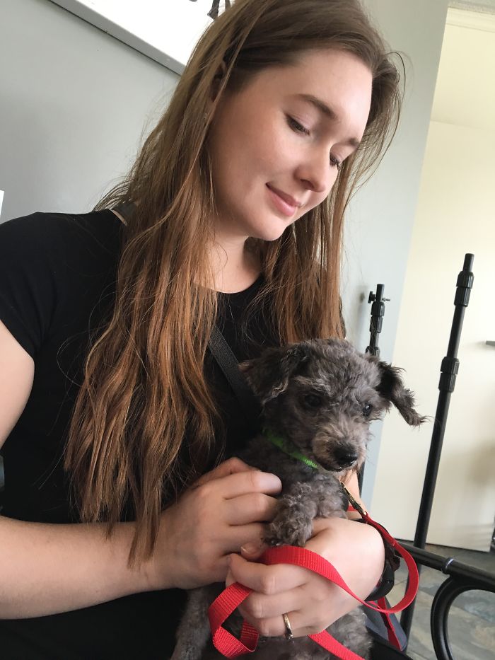 These 223 Dogs On Their First Day Of Adoption Will Make You Want To Adopt One Too