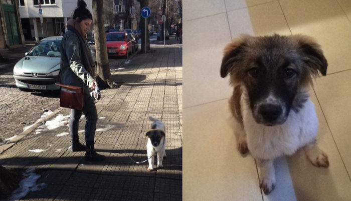 These 223 Dogs On Their First Day Of Adoption Will Make You Want To Adopt One Too