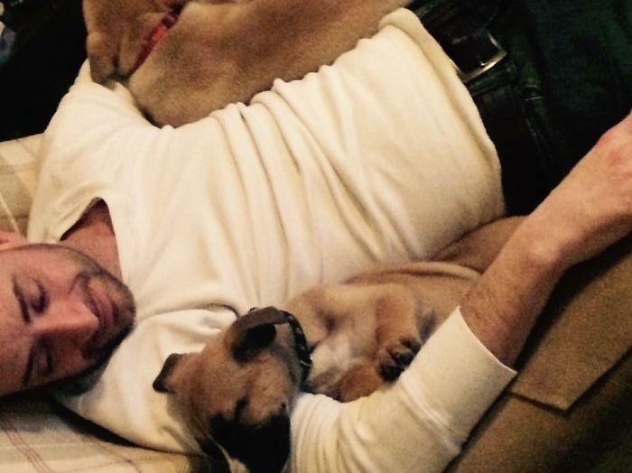 These 223 Dogs On Their First Day Of Adoption Will Make You Want To Adopt One Too