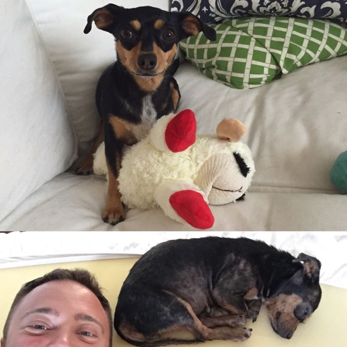 These 223 Dogs On Their First Day Of Adoption Will Make You Want To Adopt One Too