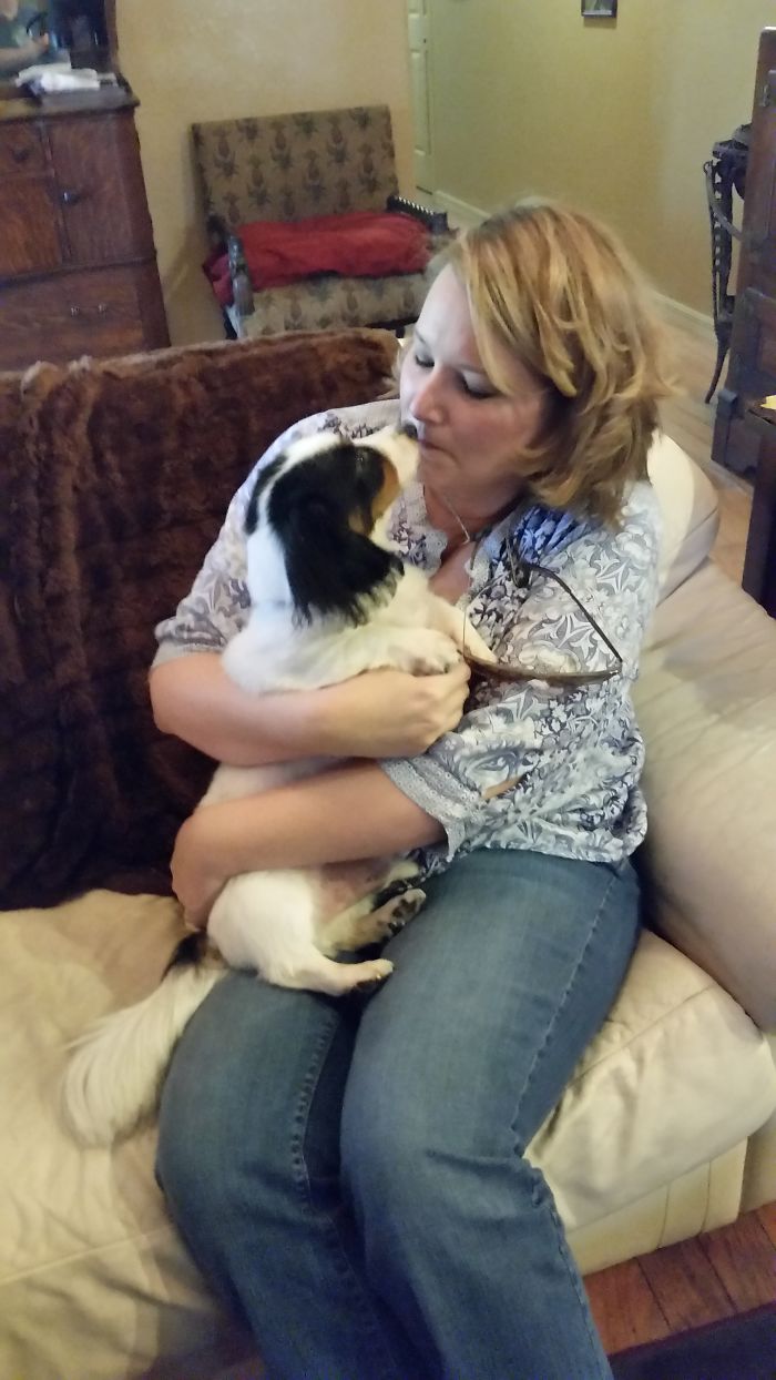 These 223 Dogs On Their First Day Of Adoption Will Make You Want To Adopt One Too