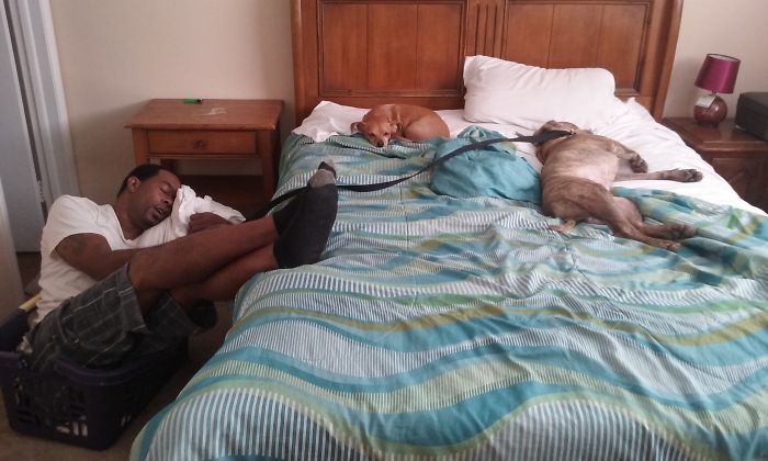 These 223 Dogs On Their First Day Of Adoption Will Make You Want To Adopt One Too