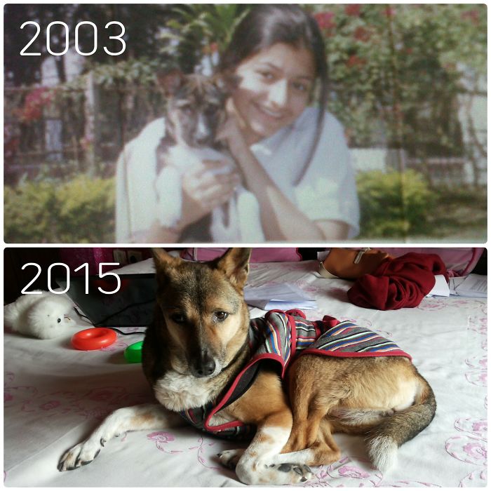 These 223 Dogs On Their First Day Of Adoption Will Make You Want To Adopt One Too