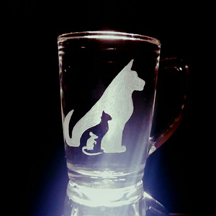 These 223 Dogs On Their First Day Of Adoption Will Make You Want To Adopt One Too