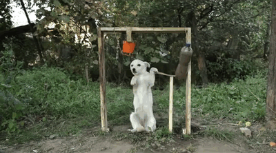 Remember The Ice Bucket Challenge? It Just Funded A Major Breakthough In ALS Research Remember The Ice Bucket Challenge? It Just Funded A Major Breakthough In ALS Research