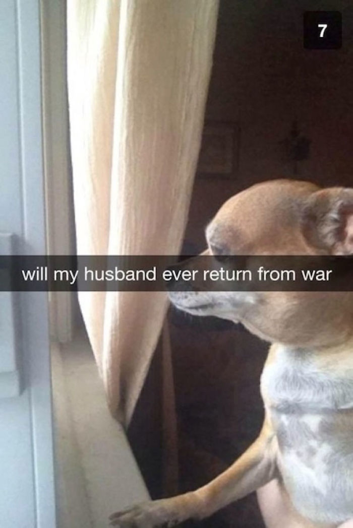 131 Of The Funniest Snapchats Ever Sent 131 Of The Funniest Snapchats Ever Sent