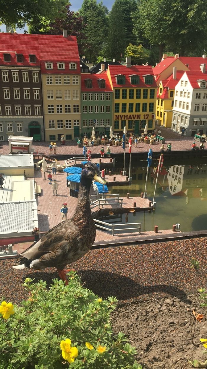 131 Of The Funniest Snapchats Ever Sent 131 Of The Funniest Snapchats Ever Sent