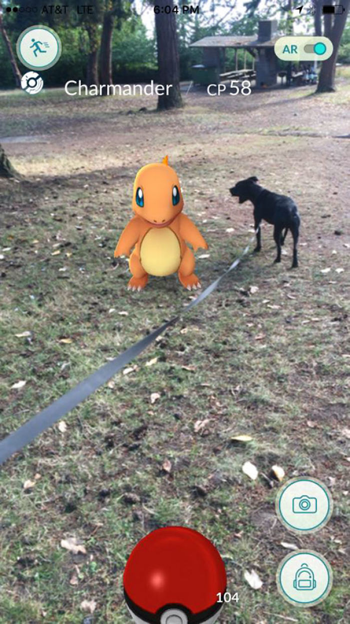 People Are Posting Proof That Pets Can See Pokèmon Go And The Evidence Is More Than Convincing People Are Posting Proof That Pets Can See Pokèmon Go And The Evidence Is More Than Convincing
