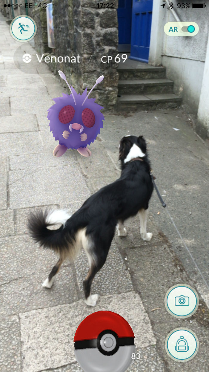 People Are Posting Proof That Pets Can See Pokèmon Go And The Evidence Is More Than Convincing People Are Posting Proof That Pets Can See Pokèmon Go And The Evidence Is More Than Convincing