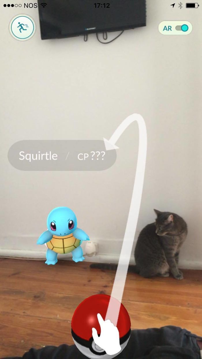 People Are Posting Proof That Pets Can See Pokèmon Go And The Evidence Is More Than Convincing People Are Posting Proof That Pets Can See Pokèmon Go And The Evidence Is More Than Convincing