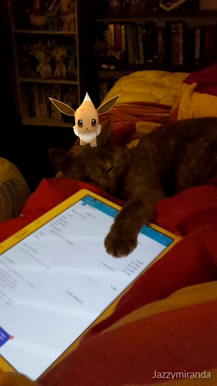 People Are Posting Proof That Pets Can See Pokèmon Go And The Evidence Is More Than Convincing People Are Posting Proof That Pets Can See Pokèmon Go And The Evidence Is More Than Convincing