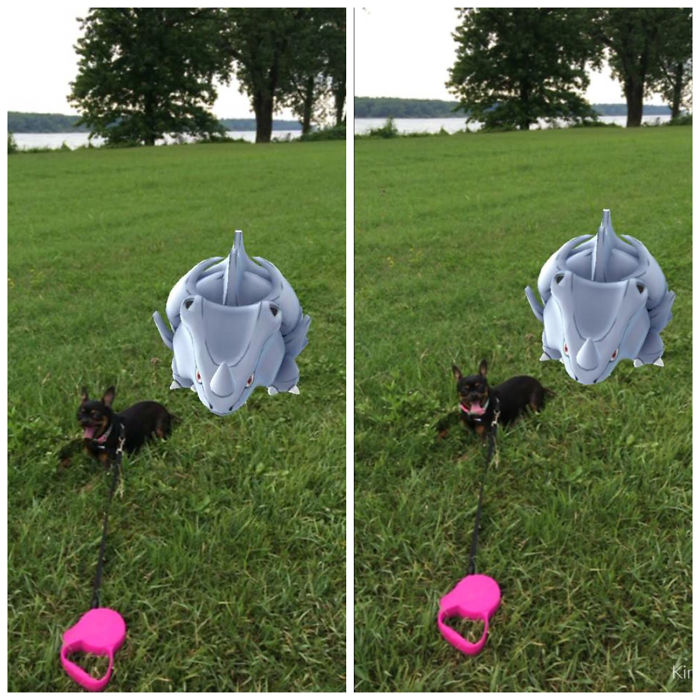 People Are Posting Proof That Pets Can See Pokèmon Go And The Evidence Is More Than Convincing People Are Posting Proof That Pets Can See Pokèmon Go And The Evidence Is More Than Convincing